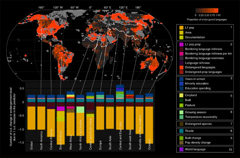 World map illustrating Votee's focus on developing Large Language Models (LLMs) specifically for low-resource languages across the globe.